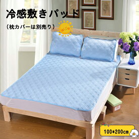 【送料無料・100*200cm】ひんやり 夏用ラグ ラグマット シート　ダブル　冷感 敷きパッド　洗える　おしゃれ 夏 ル ひんやりマット 涼感 夏物 クール寝具 吸水速乾 丸洗い　 ベッドパッド 防ダニ 抗菌防臭