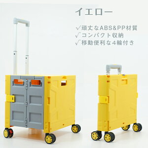 yE50Leʁz4փLX^[ L[J[g ܂肽 VbsOJ[g ܂肽݃L[J[g Wt  JS Lv AEghA ω׏d35kg RpNg [P[X 