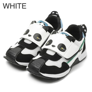y10/4 20` Ԍ|Cg10{Iz Ct~[ Xj[J[ IFME ×TRAIN c LbYXj[J[ p_낵 15cm?19cm LbY ct ۈ牀 wZ qC ʉ ʊw V[Y V