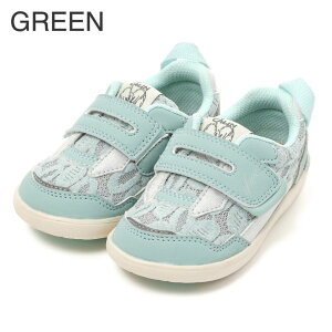 yʉiIzZ[  Ct~[ Xj[J[ ifme CALIN xg[XXj[J[[NR[f] 12cm`15cm xr[ ct ۈ牀 qǂC ʉ ʊw V[Y ̎q eq J 20-4358