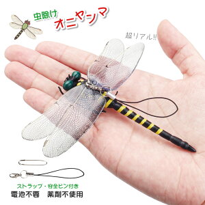 Ij}  12cm ɂ tBMA Ki g{ 悯 Xgbvt Sst x L[z_[ u[` AEghA Lv { Ij} nG 