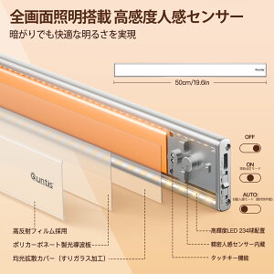 QuntislZT[Cg 40/50cm   }OlbgCg led LrlbgCg tbgCg F Type-C[d ^ dɂȂ 邢 铔  iCgCg L Q