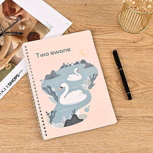 30Zbg V[g V[  V[ oC_[ ̎q ͂ Ж  e V[V A5TCY w w Z 킢 V[oC_[