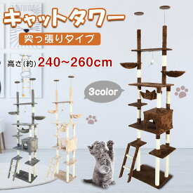 ＼本日10時～2BUY10%オフ／ 猫 ねこ ネコ キャットウォーク キャットステップ キャットタワー キャットロード 猫タワー つめとぎ 爪研 爪磨 爪とぎ 爪みがき 突っ張り 壁 壁面 省スペース ステップ クリアシェルフ インテリア アスレチック ハンモック おもちゃ 運動不足