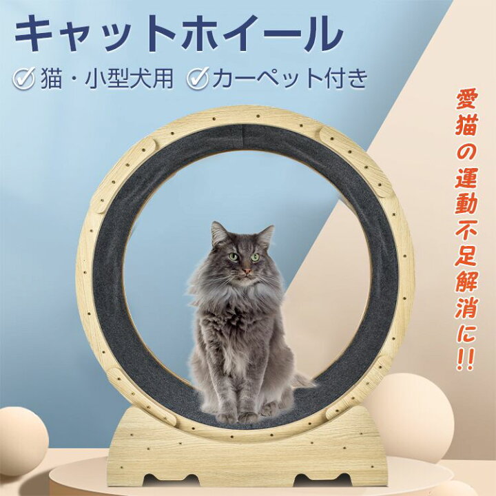 楽天市場】キャット ドッグ ホイール ルーム キャットランナー ドッグ 