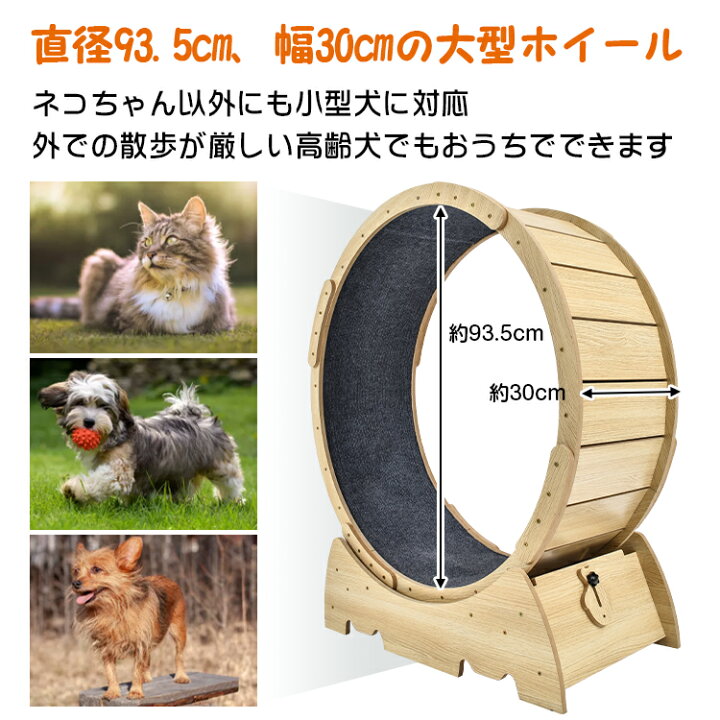 楽天市場】＼ｸｰﾎﾟﾝで500円ｵﾌ／キャット ドッグ ホイール ルーム 