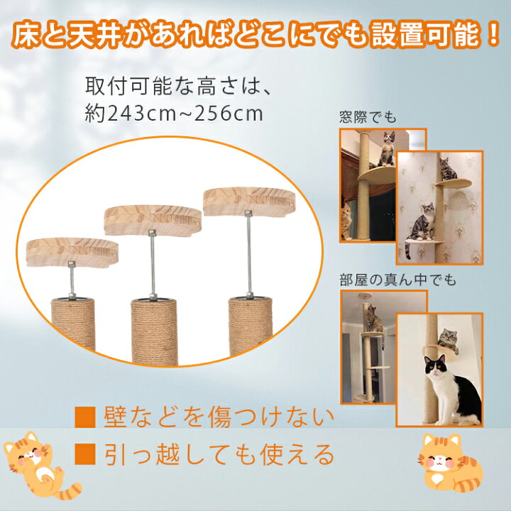 キャットウォークお得です12月下旬まで