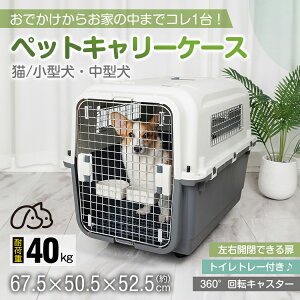 _2BUY10%It16܂Ł^ ybgL[ L[P[X L[obO ybg L[ s@ A  Ζʎ  ^ ^ L U o s ʉ@ NbV  2way RpN