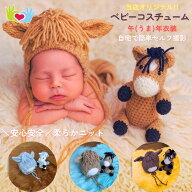 ★楽天1位★ 2026年 干支 午年 ニューボーンフォト セット 衣装 ベビー コスチューム うま 馬 モチーフ …