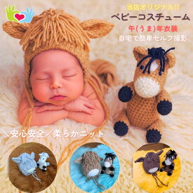 ★楽天1位★ 2026年 干支 午年 ニューボーンフォト セット 衣装 ベビー コスチューム うま 馬 モチーフ ニット帽 あみぐるみ 寝相アート 月齢フォト 簡単 セルフ 撮影 赤ちゃん 新生児 フォト小物 出産準備 記念撮影 男の子 女の子 オリジナル