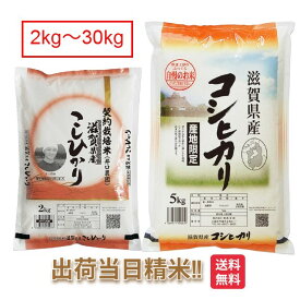 滋賀県 コシヒカリ 令和7年 米2kg 5kg 10kg 15kg 20kg 25kg 30kg 送料無料 近江米 こしひかり お米 白米