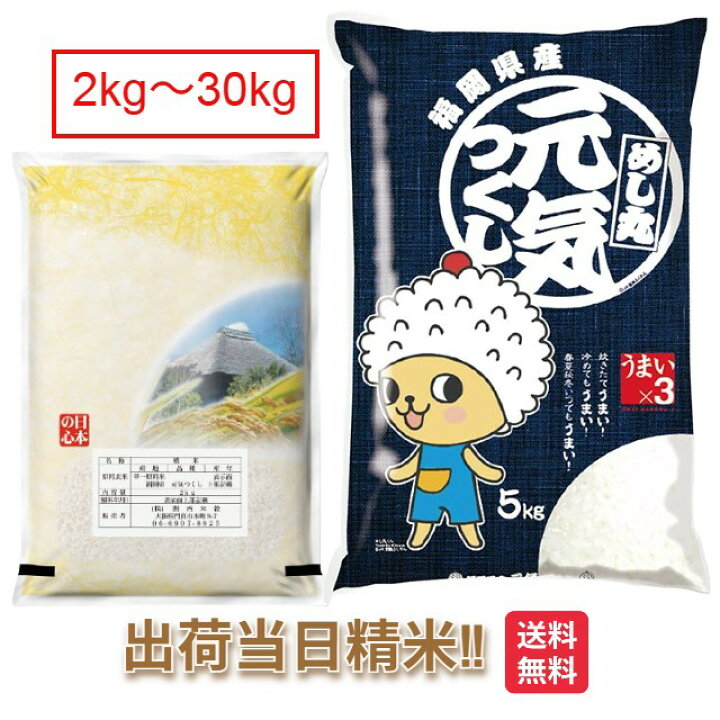 楽天市場】福岡県 元気つくし 令和7年 特別栽培米2kg 5kg 10kg 15kg 