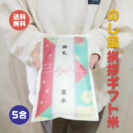 のし風挨拶ギフト米 5合 750g 送料無料 令和7年産 伊賀米コシヒカリ 結びの神ミルキークイーン お米のプチギフト 挨拶米 あいさつ 粗品 水引 おしゃれ 記念品 景品 退職 プレゼント お礼 お年賀 引っ越し コンペ 御礼 来店特典 開店祝い 引き出物 感謝 祝儀