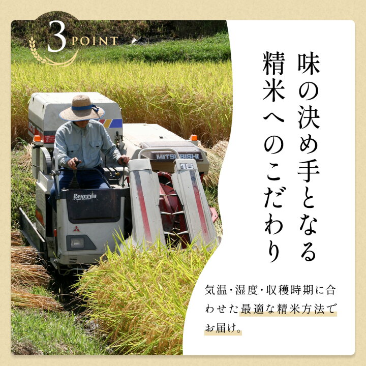 楽天市場】こしひかり 令和6年産 三重県産コシヒカリ 玄米20kg(10kg×2 