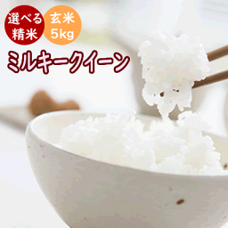 楽天市場 無添加 国産 極上自然だし 食塩無添加 32g 4g 8袋 ゆうあい メール便対応 粉末 出汁 お米と自然食品 富永米穀店