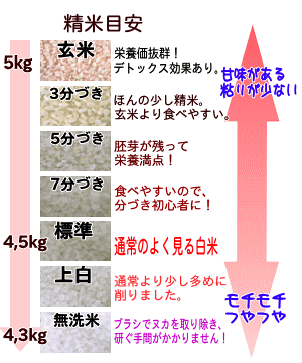 ラッピング無料ラッピング無料三重県産 コシヒカリorキヌヒカリ 自家