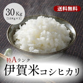 特A獲得！令和5年産 伊賀米コシヒカリ 玄米30kg(10kgx3袋) 送料無料 米ぬか無料 精米無料 白米 無洗米 3分づき 5分づき 7分づき 胚芽米 こしひかり 米 30kg