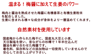 【メール便不可】(無双本舗)生姜・番茶入り梅醤250g【マクロビ】【RCP】