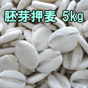 YE艟 5kg Y唞gp ƖpʃTCYY 