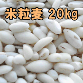国内産・米粒麦 20kg【同梱不可】国産大麦使用 業務用大量サイズ 国産 麦ご飯