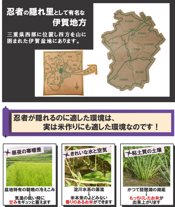 新米 特別栽培米 伊賀米コシヒカリ 三重県伊賀産 玄米2kg 令和4年産 みえの安心食材認定米 有機肥料使用 米ぬか無料 精米無料 白米 無洗米 3分づき 5分づき 7分づき 胚芽米 : お米と自然食品 富永米穀店 新米 特別栽培米 伊賀米コシヒカリ 三重県伊賀産 玄米2kg 令和4年産 みえの安心食材認定米 有機肥料使用 米ぬか無料 精米無料 白米 無洗米 3分づき 5分づき 7分づき 胚芽米 : お米と自然食品 富永米穀店