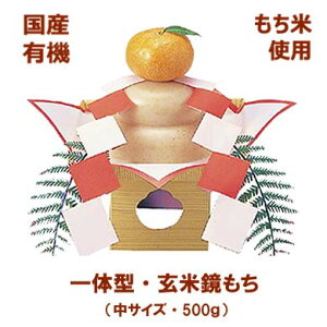 ̌^݌ 500g \[ TCY  YL@Ďgp ċ ċ Ă   Ė L 䕼  lgi~jOijt