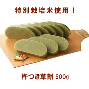 ʍ͔|ĎgpEn 500g \[ R`Yʍ͔|Ďgp ł̂     