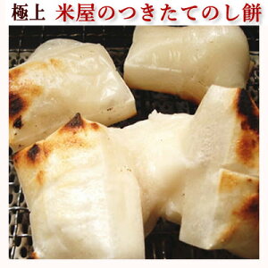 uĂ̂ 1kgv Y Y ̂    L