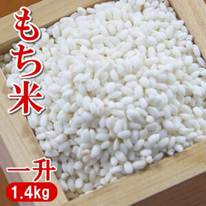 y^[pbNz ߘa6NY kCY ̎q 1.4kgi1jyݝi݂jz