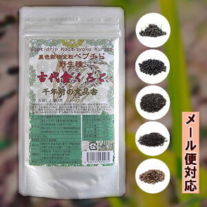 [֑Ή ÑH낲 NO̐Hi yv`h 120g ܕ͖쐶̍ ̎ 哤 JVX Ӗ S} 
