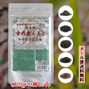 [֑ ÑH낲 NO̐Hi yv`h 120g×3Zbg ܕ͖쐶̍ ̎ 哤 JVX Ӗ S} 