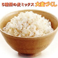 国産 大麦づくし 送料無料 420g×10(4.2kg) 5種類の麦ミックス 麦飯 雑穀米 大麦ごはん 押麦 胚芽押麦 米…