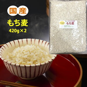  Y 420g×2(840g) [  G 唞  ͂ H@ 1000~|bL