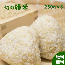 国産雑穀 緑米 2kg(250g×8袋) 「がんこおやじのもち緑米」古代米 マクロビ 低GI米