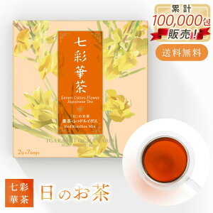 ʉؒwx  | eB[pbNZbg { × n[ueB[ Β N Y t eB[obO Mtg   Zbg | v[g Mtg n[ueB[Zbg Ԓ [