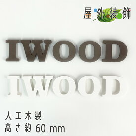 アイウッド木彫り文字 [1文字] 選べる2色( ホワイト - ダークブラウン ) [文字種は備考へ] [7文字以上は送料込み] アルファベット＆数字 H60mm 代引不可|大文字のみ 手作りオブジェ 表札 看板 ネームプレート