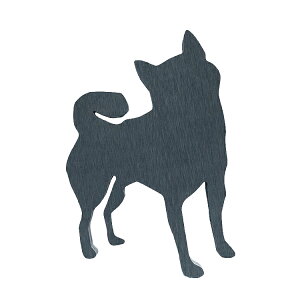 ACEbh Aj}v[g M Ȃ lHؐ Iׂ4F i` _[NuE zCg ubN hbO  L  Y  I[_[Ch Y