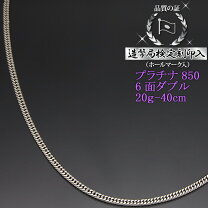 楽天市場】pt850 20g 50cmの通販