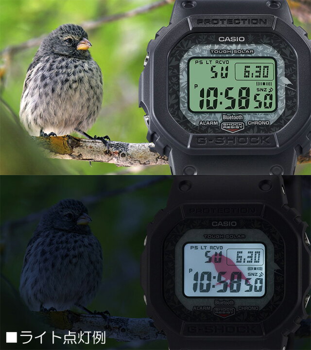 楽天市場】G-SHOCK チャールズ・ダーウィン財団 コラボ Gショック 電波 
