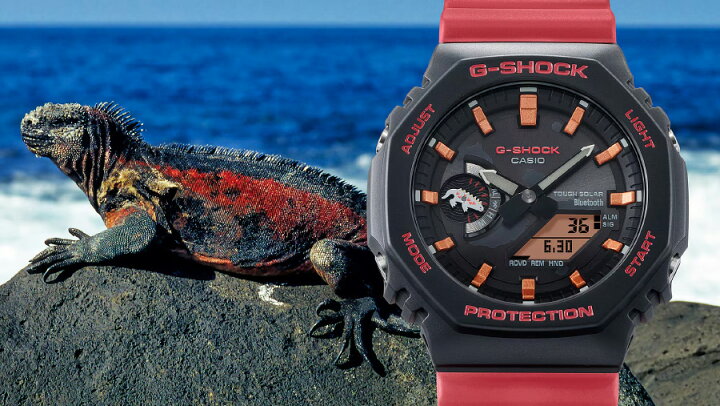 楽天市場】[在庫あり] G-SHOCK Gショック チャールズ・ダーウィン財団  