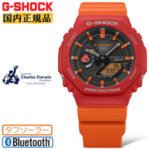 G-SHOCK GVbN  `[YE_[EBc R{ ^t\[[ oCN GA-B2100DF-4AJR IW JVI KpSXxjCKj `[t fW^AiO Rrl[V