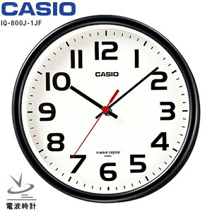 dg | u v JVI IQ-800J-1JF CASIO NbN X^_[h ubN y񂹁z