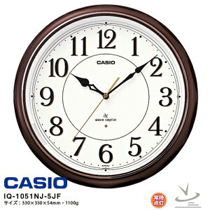dg | v LED JVI IQ-1051NJ-5JF CASIO dg|v NbN y񂹁z