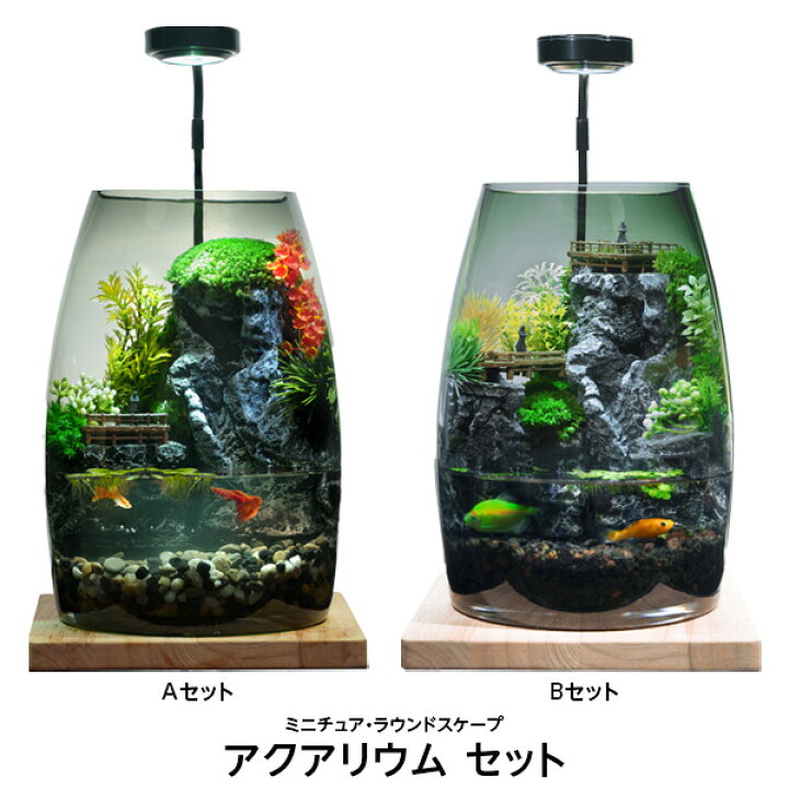 楽天市場】アクアリウム セット ミニチュア ラウンドスケープ 