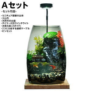 ANAE Zbg ~j`A EhXP[v |J[{l[ggp 3Dvg LEDCg y񂹁z