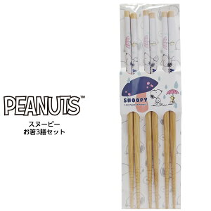 Xk[s[  3VZbg Snoopy s[ibc PEANUTS IWiCZXi KSNP-OHS-001 { y񂹁z