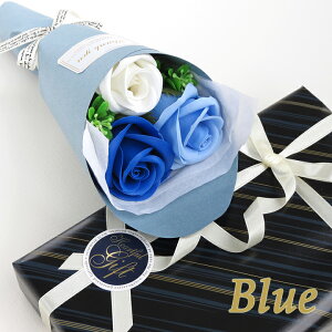 \[vt[ BOX tFA[3փu[P t[\[v u[P V{t[ Ό  t[Mtg ԑ Mtg a LO  j   oY    w