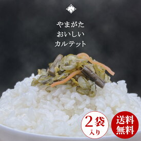 送料無料 五月雨漬 230g×2袋 漬物 国産 メール便 山形 大石田 醤油漬 きゅうり わらび 菊 大根 人参 しょうが しその実 つけもの 漬け物 しょうゆ漬 おつまみ プレゼント 老舗 ご飯のお供 弁当 いげたや 庄司醸造 お茶うけ 酒の肴 珍味 買い回り