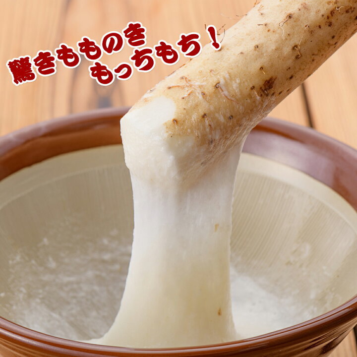 楽天市場】自然薯 1.5kg 送料無料 山形県 大石田町産 雪国育ち 強い 