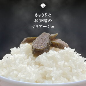 y݂Ђzイ薡X 180g ^ 1 ⏯i V Y ӉZ R` Γc n Е  Ђ VR ̕ ɂ ނ т̂  n 